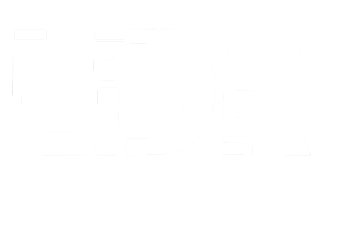LDR Engines Pretoria